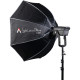 Aputure Light OctaDome 120 Bowens Mount Octagonal Softbox with Grid (47.2"/120см) (APA0226A30)