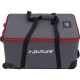 Світло Aputure LS 600c Pro II(V-mount) (AP30332A21)