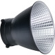 Aputure Amaran 100d S Daylight LED Monolight