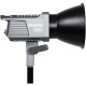 LED свет Aputure Amaran 200d Daylight