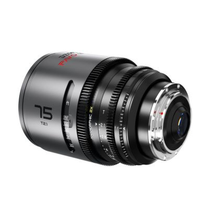Об'єктиви DZOFILM Pavo 2x anamorphic Prime A set 28/40/75mm T2.1 -Neutral Coating- PL&EF mount (meter) (DZO-PAA3PLMN)