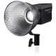 Постійне світло Nanlite Forza 500 LED