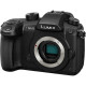 Panasonic Lumix DC-GH5 (Body Only)