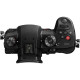 Panasonic Lumix DC-GH5S (Body Only)