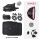 Vibesta Peragos Head 150C 2 Light + Light Shaping Tools Bundle