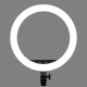 Кільцеве LED світло Godox LR150 Bi-Color 18" (LR150-Black)