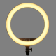 Кільцеве LED світло Godox LR150 Bi-Color 18" (LR150-Black)
