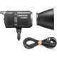 LED свет Godox LITEMONS LE300Bi (black)