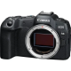 Фотоаппарат Canon EOS R8 (body)
