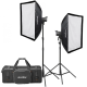 Набір LED світла Godox Litemons LA200D-K2 з стійками і софтбоксами (Daylight) (2 шт)