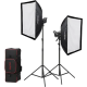 Набір LED світла Godox SL60IID‑K2 зі стійками і софтбоксами (Daylight) (2 шт)