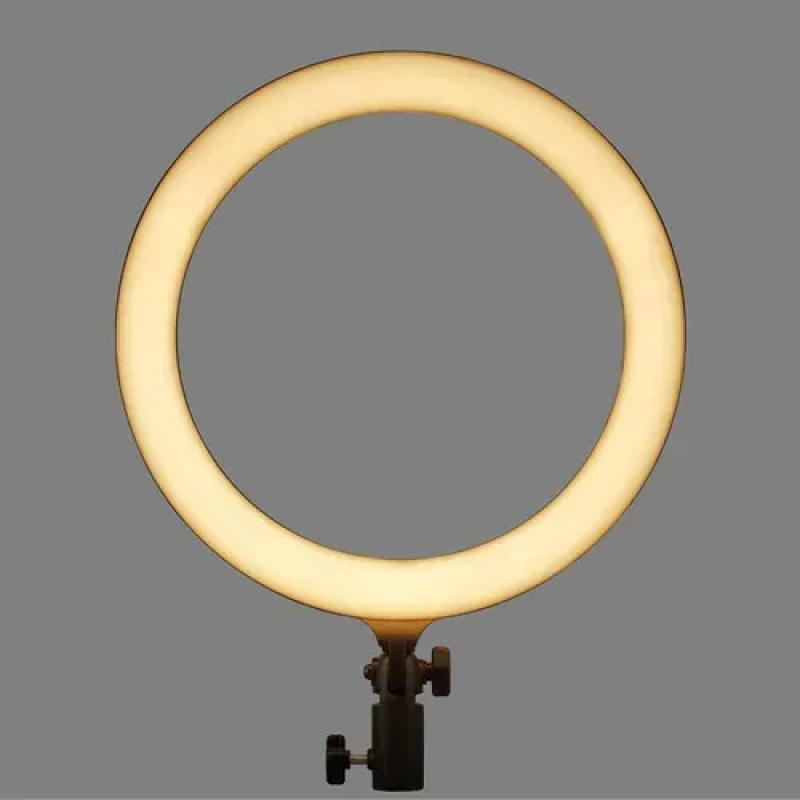Кільцеве LED світло Godox LR120 Bi-Color 12" (LR120 B)