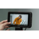 Atomos Ninja RAW 5,2" монітор-рекордер (ATOMNJRW01)